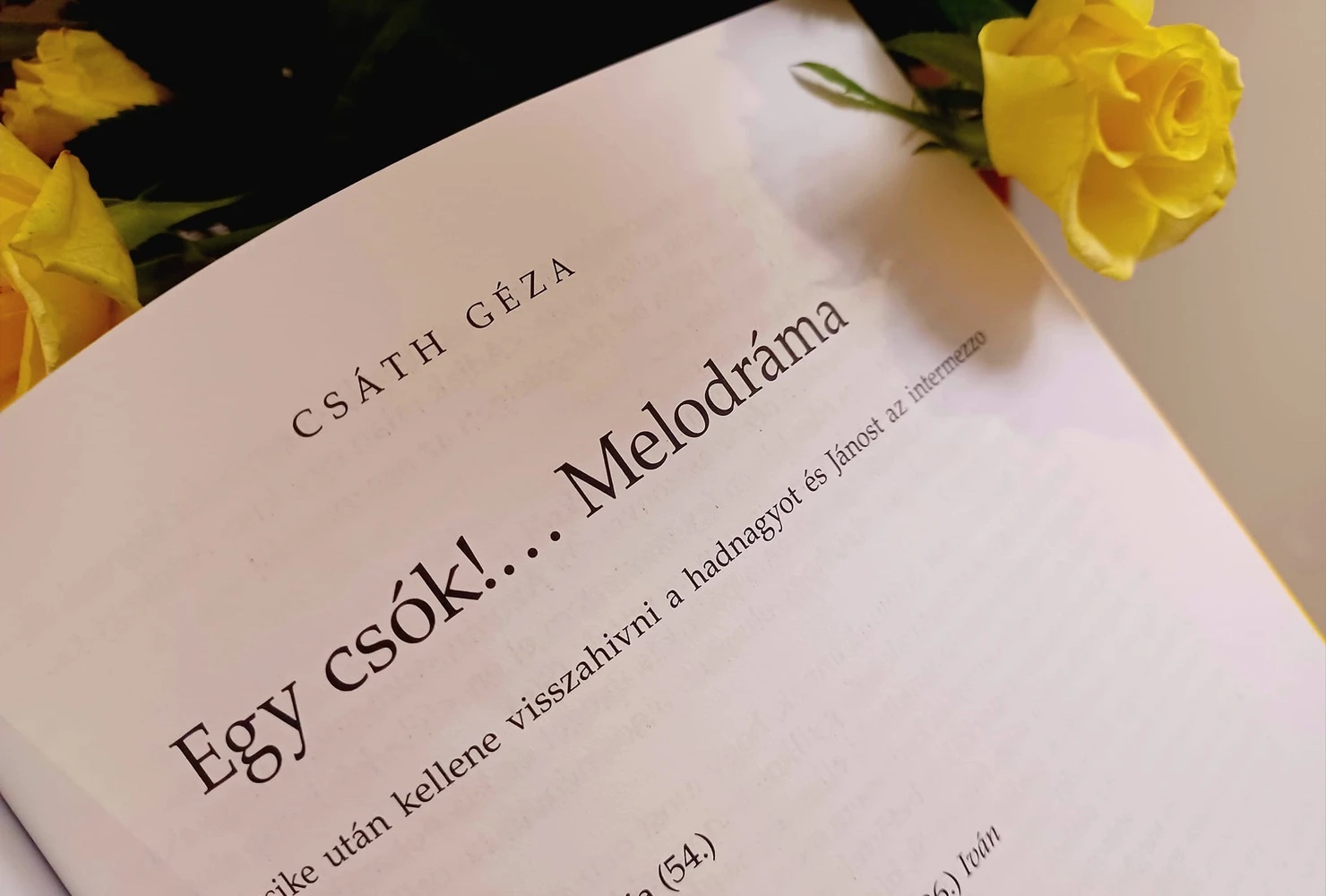 Csáth melodrámája, Kosztolányi francia levelei…